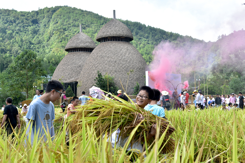 稻浪翻金迎客來 黃龍洞生態(tài)田園奏響豐收樂章
